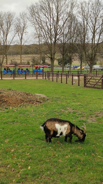 Foxburrows Farm - Hainault Forest